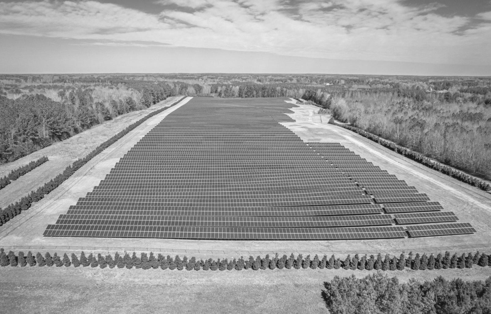 Unterstützung und Begleitung während des Lernprozesses